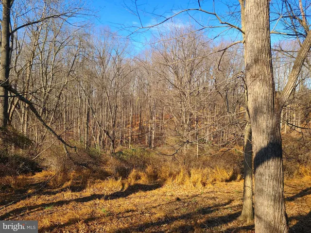 a view of a backyard of the house