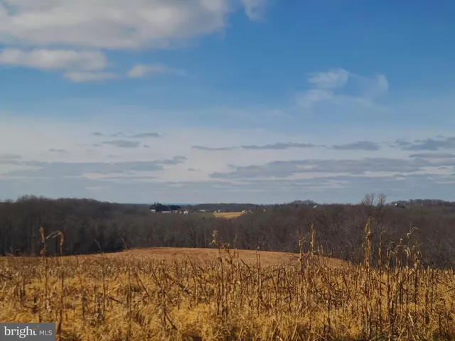 a view of backyard of the house