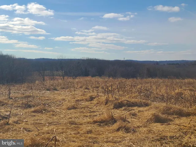 a view of wooden fence