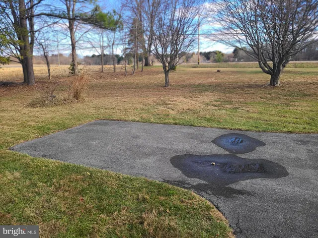 a view of yard with tree s