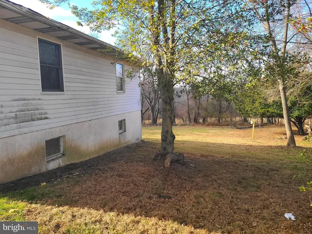 a view of a yard with a house and large tree
