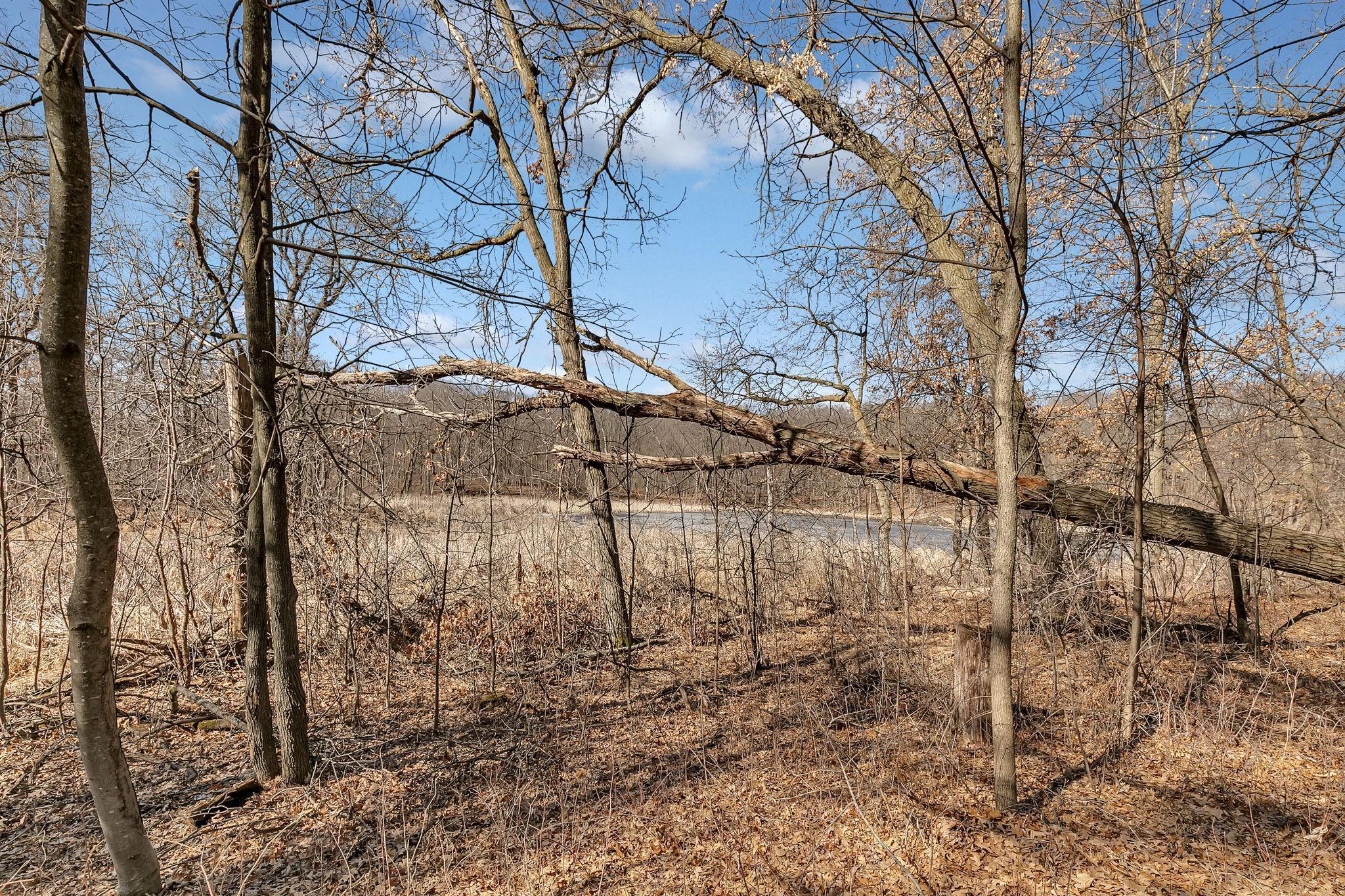 31325 Larkspur Lane Avon, MN 56310 - Photo 36 of 38