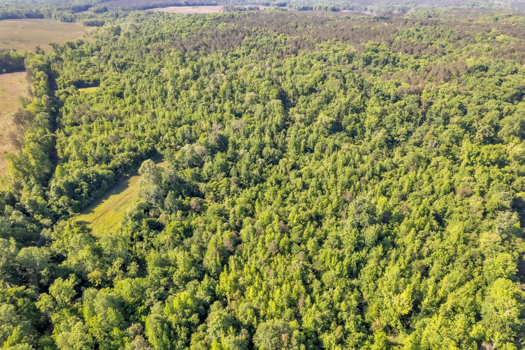 77 Hemlock Drive Clinton, SC 29325 - Photo 14 of 18