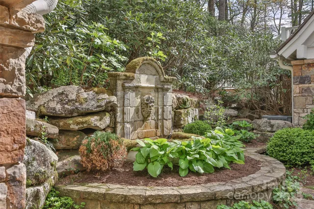 a view of a garden with plants