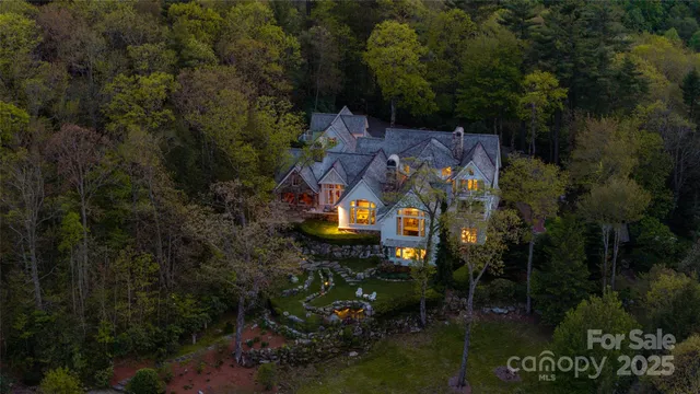 aerial view of a house with a yard