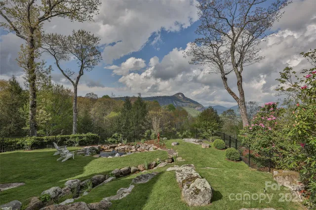 a view of a garden with a large tree