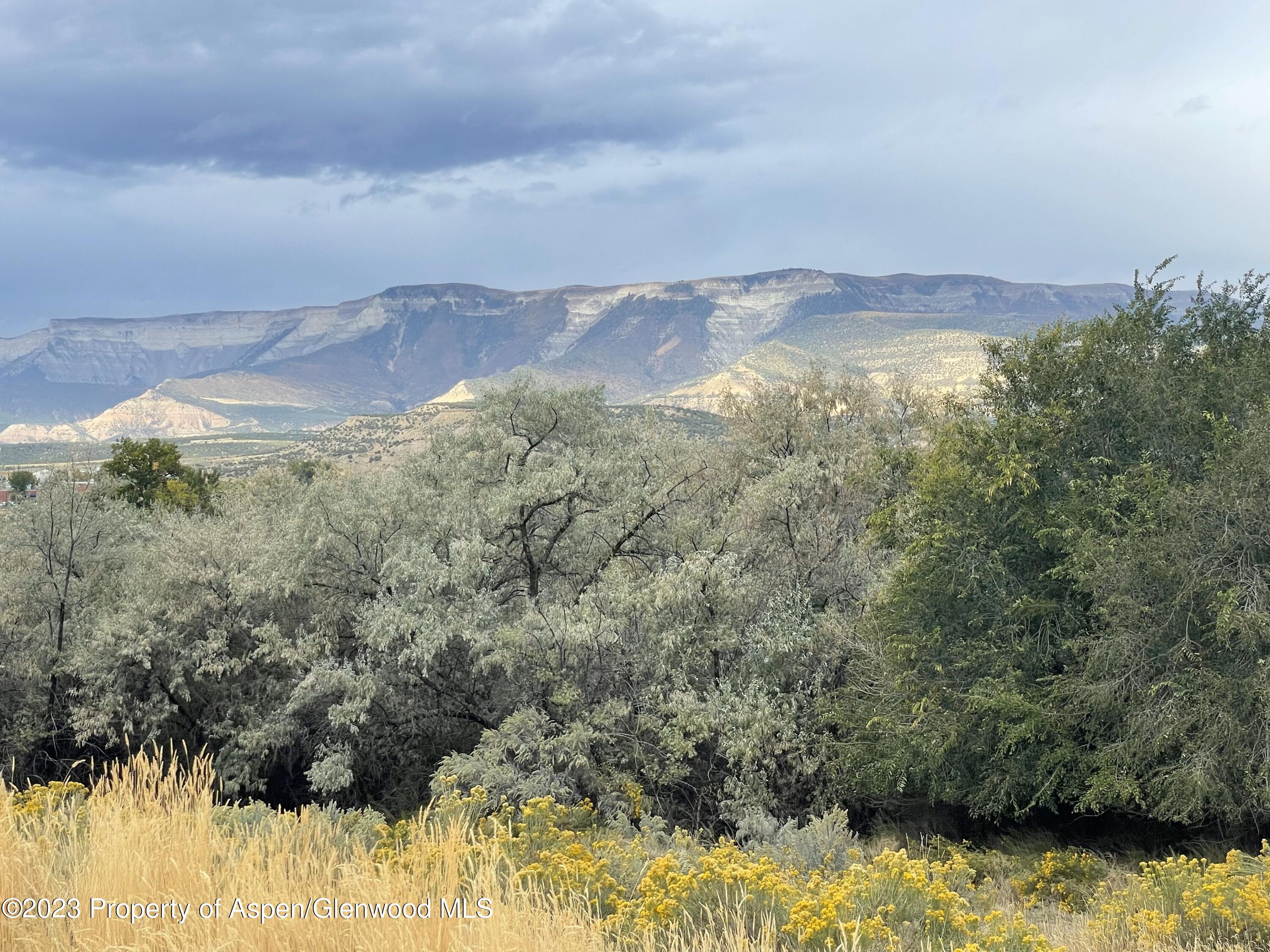 Tbd Rifle Heights Drive Rifle, CO 81650 - Photo 5 of 11 IMG_6989