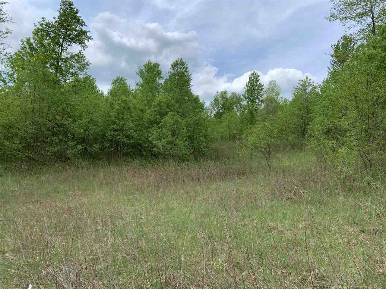 40 South 17 Road Boon, MI 49618 - Photo 11 of 33