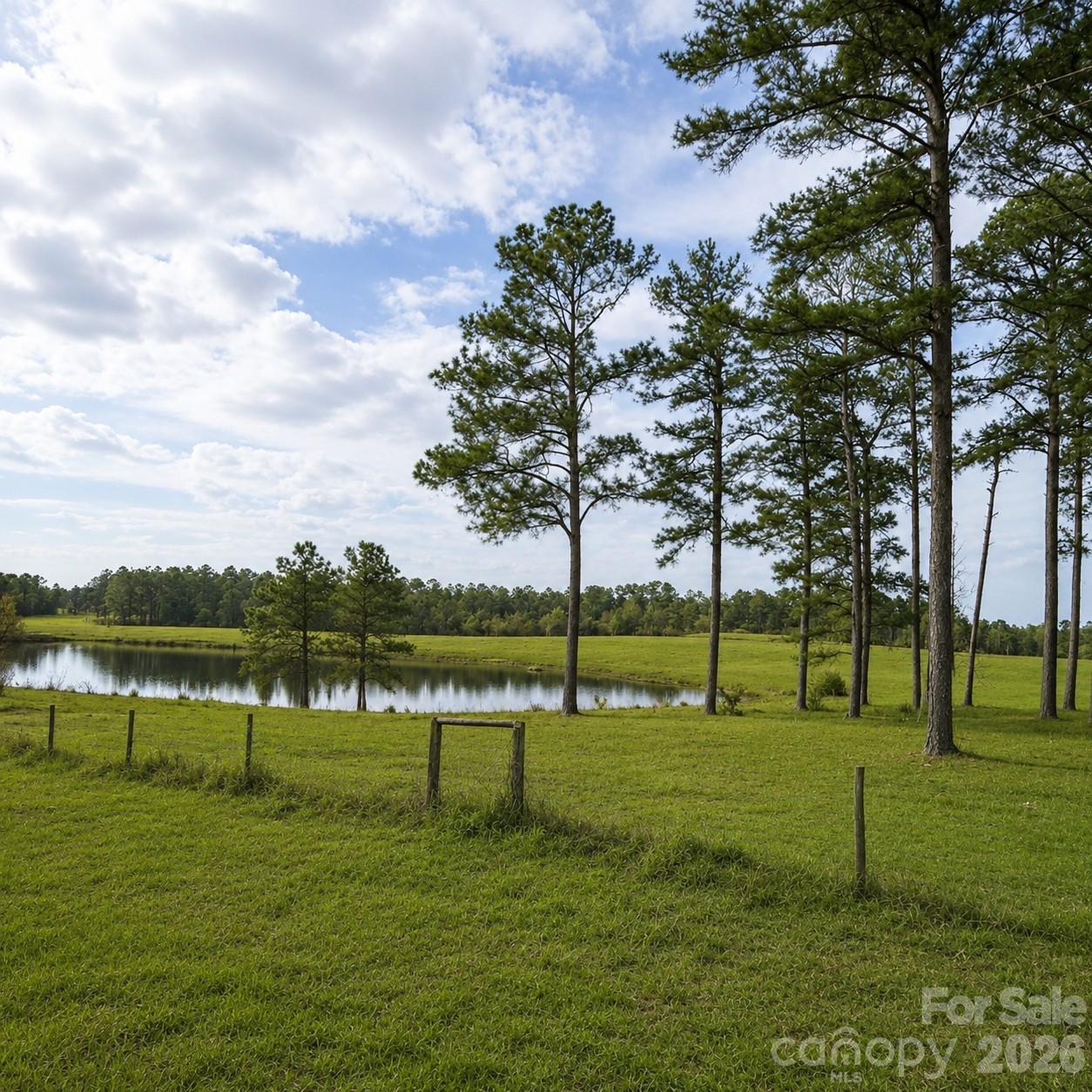678 Old Stage Road Edgefield, SC 29824 - Photo 4 of 6
