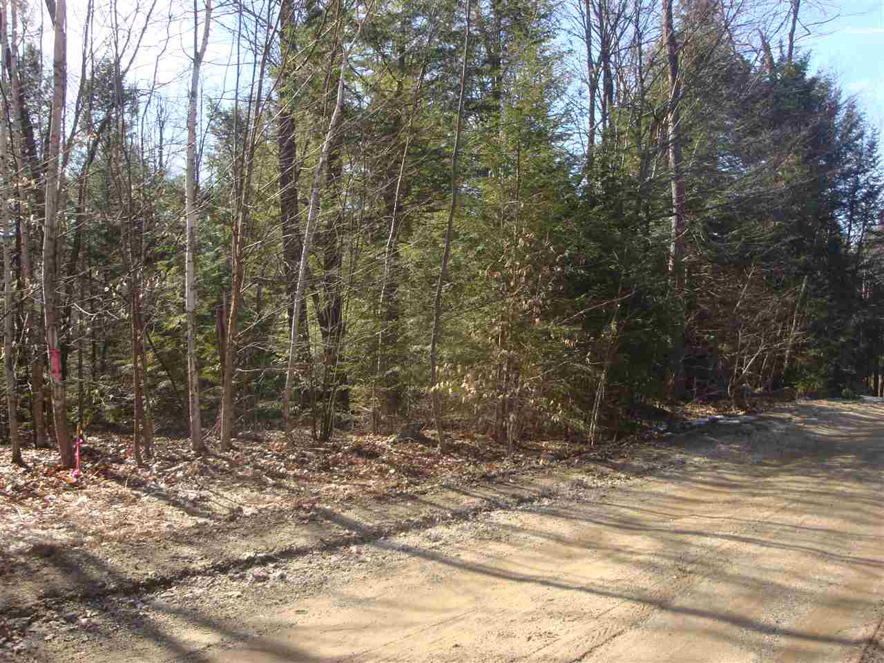 Lot 1 Mathews Road Alexandria, NH 03222 - Photo 3 of 12