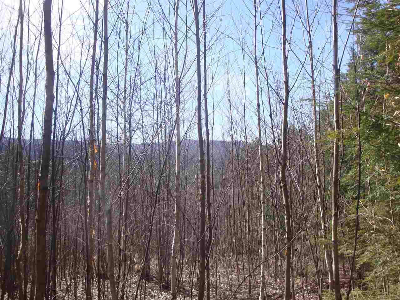 Lot 1 Mathews Road Alexandria, NH 03222 - Photo 8 of 12
