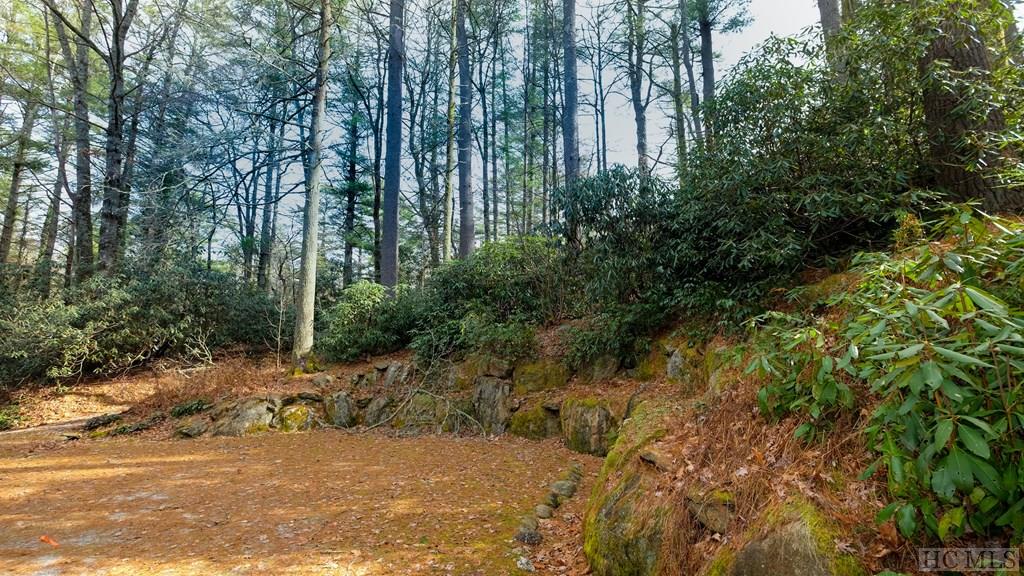 7580 Dillard Road Scaly Mountain, NC 28775 - Photo 9 of 15 Gallery Image 9
