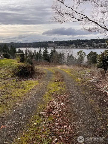 a view of a lake from a yard
