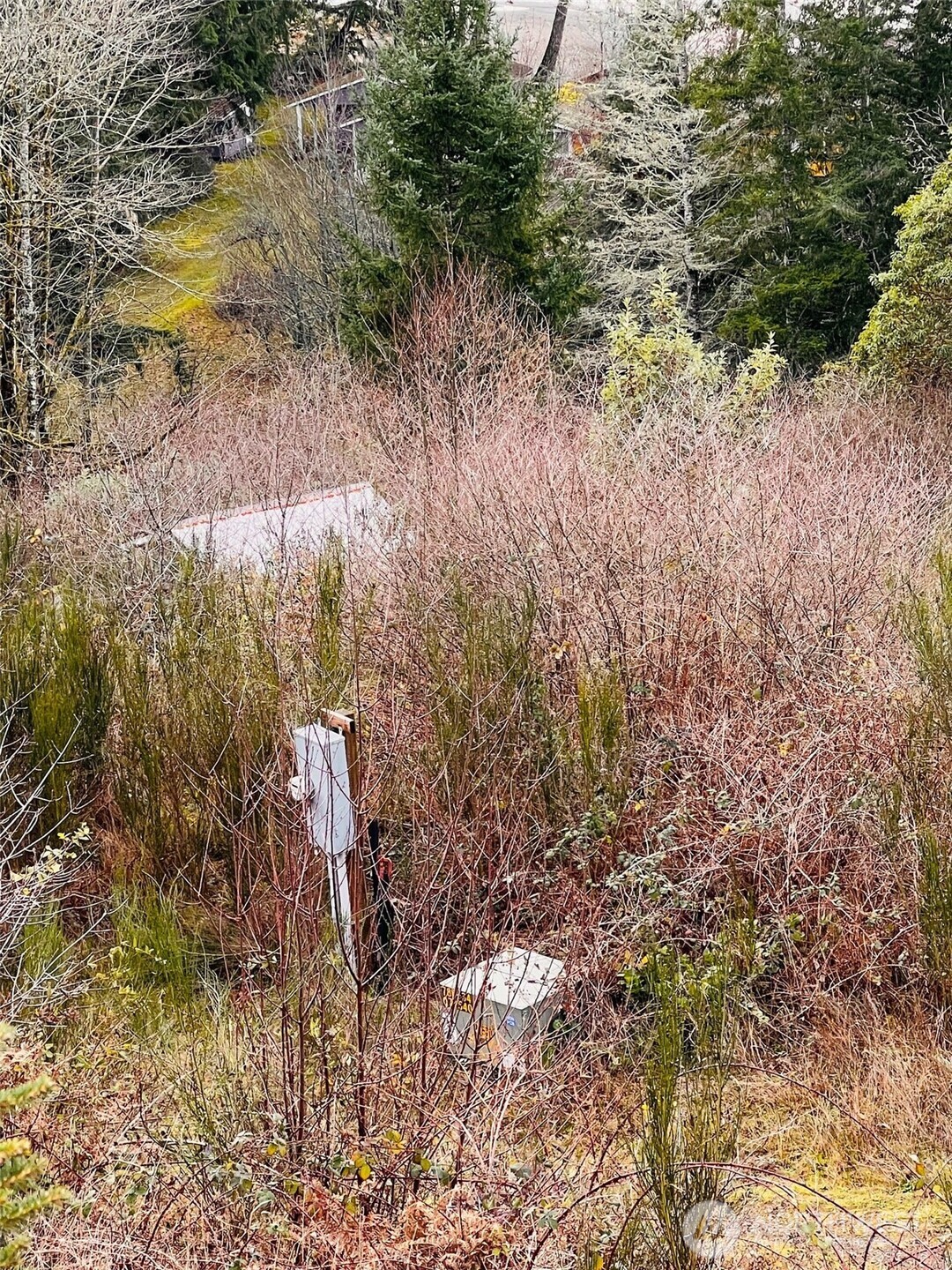 3841 Highway 302 Belfair, WA 98528 - Photo 3 of 10 a view of a lake with lots of trees
