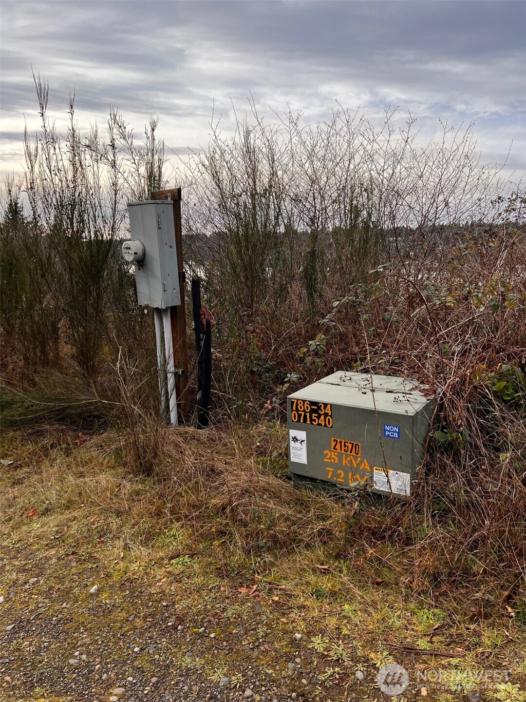 3841 Highway 302 Belfair, WA 98528 - Photo 4 of 10 a view of a house with a yard