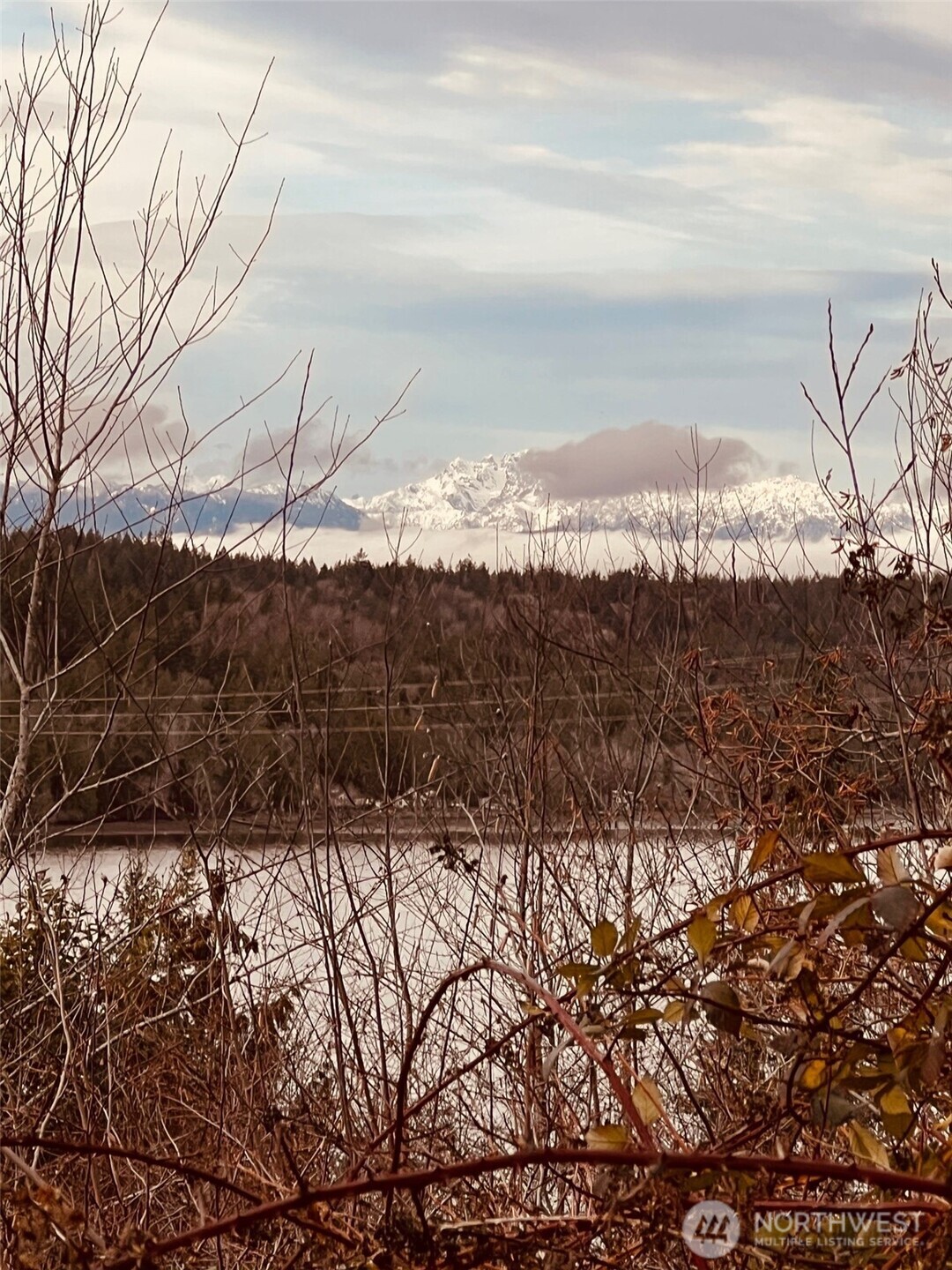 3841 Highway 302 Belfair, WA 98528 - Photo 5 of 10 a view of mountain view with mountains