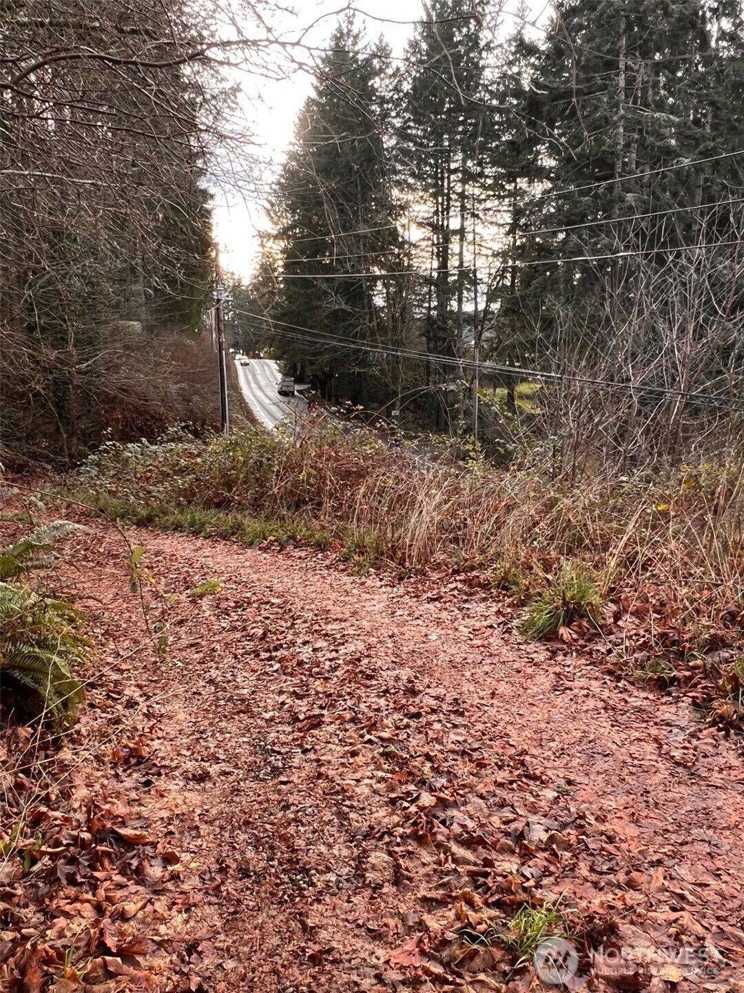 3841 Highway 302 Belfair, WA 98528 - Photo 6 of 10 a backyard of a house with lots of green space