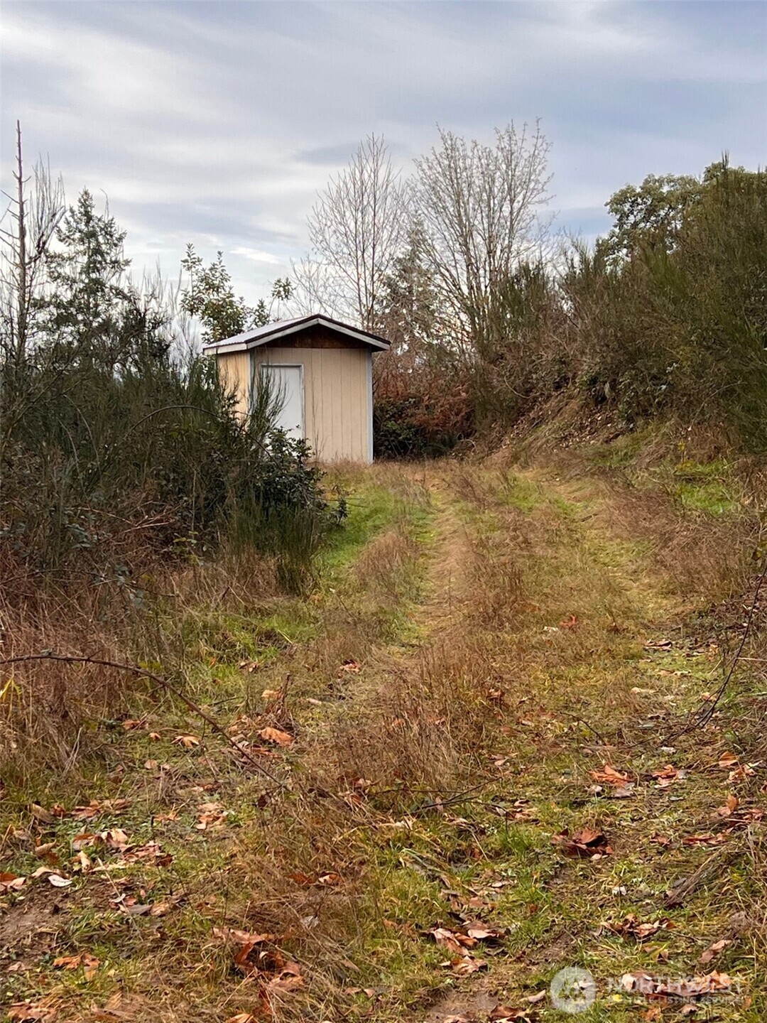3841 Highway 302 Belfair, WA 98528 - Photo 7 of 10 a view of a outdoor space of a house