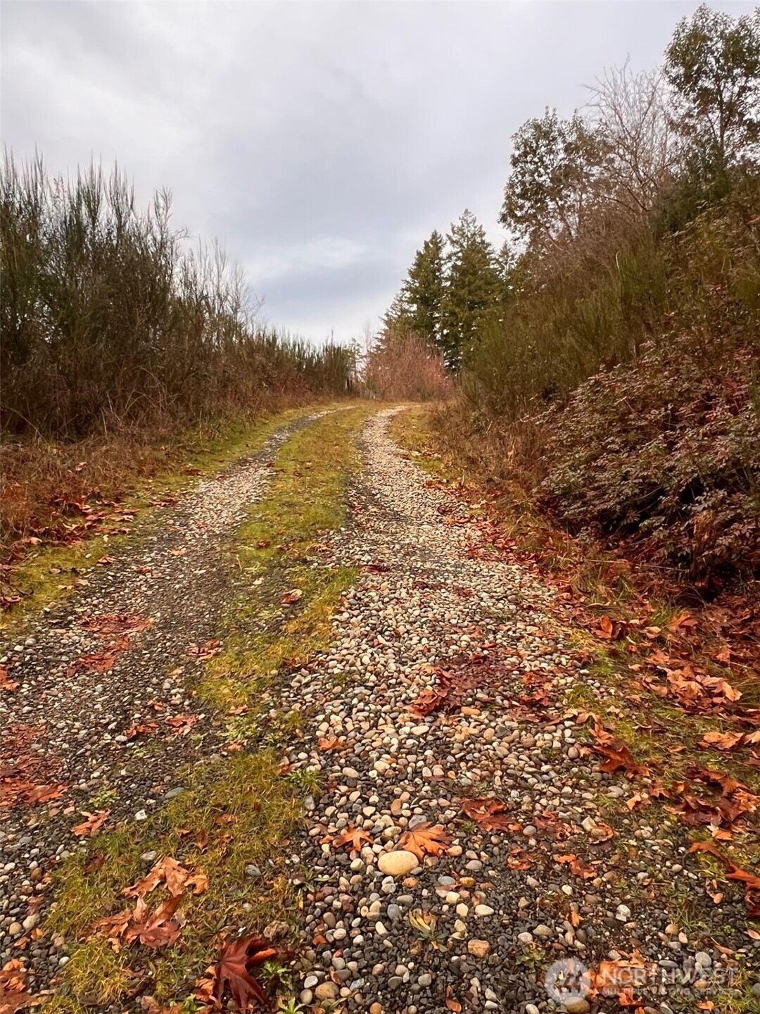3841 Highway 302 Belfair, WA 98528 - Photo 8 of 10 a view of an ocean