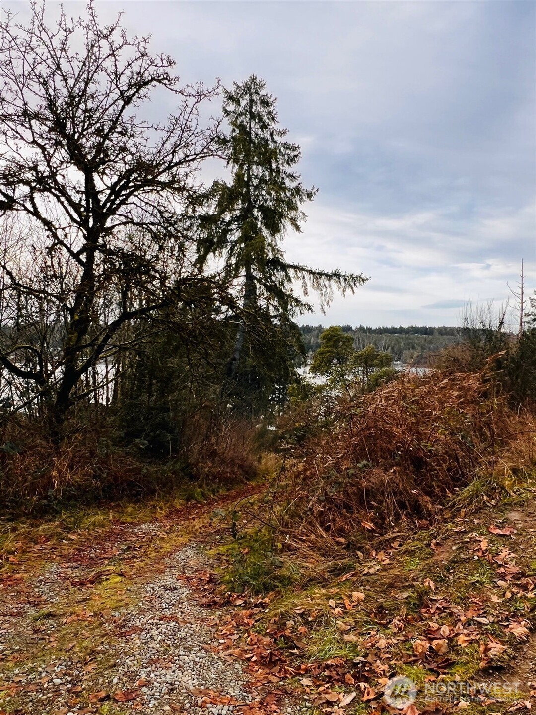 3841 Highway 302 Belfair, WA 98528 - Photo 9 of 10 a view of a yard with a tree
