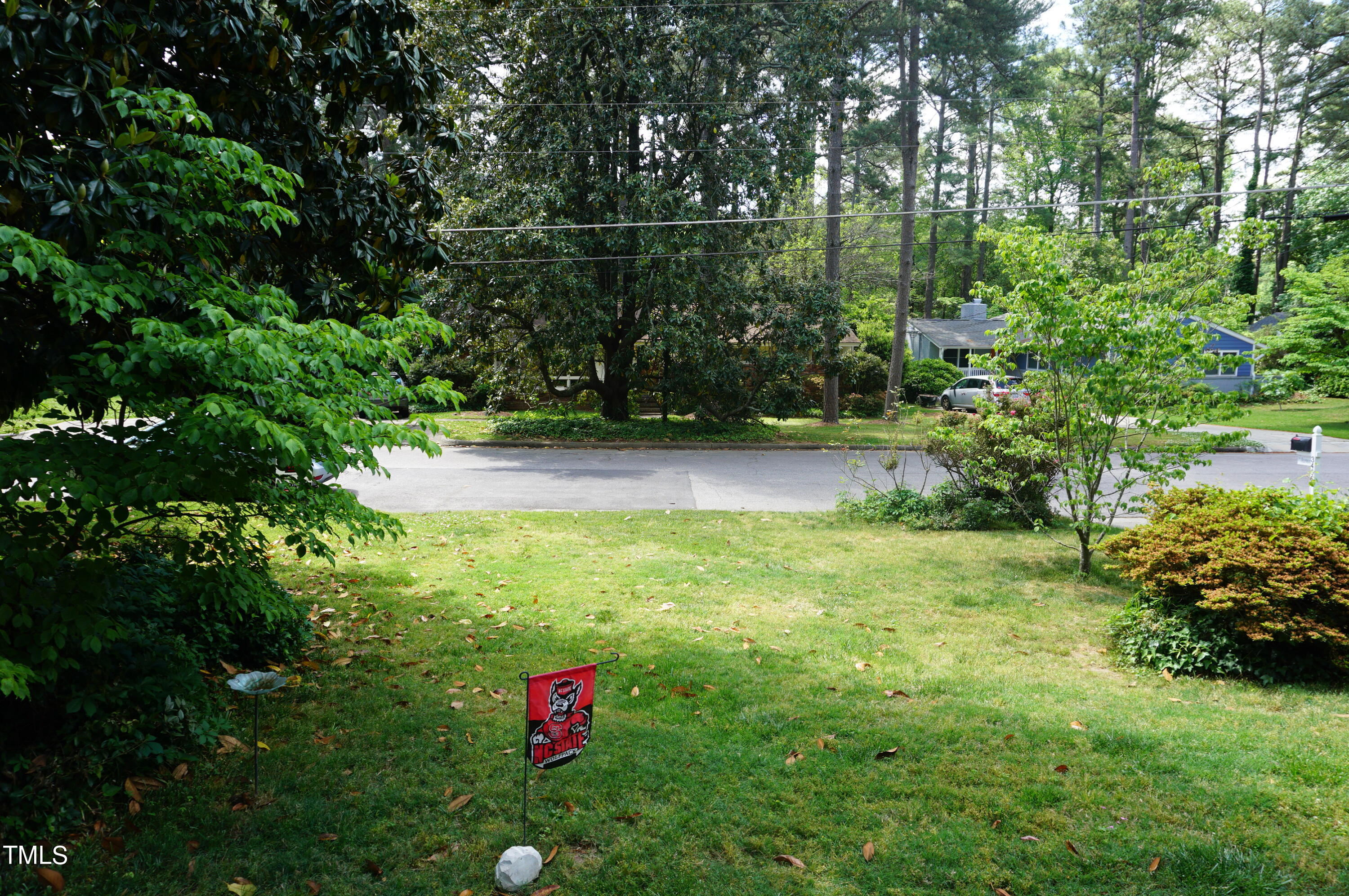 DSC05200