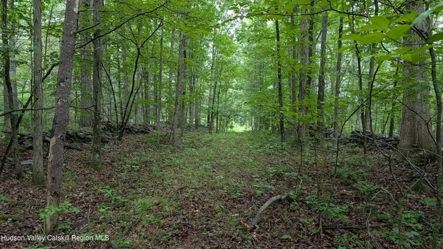a view of outdoor space and green space