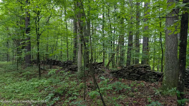 a view of outdoor space and green space