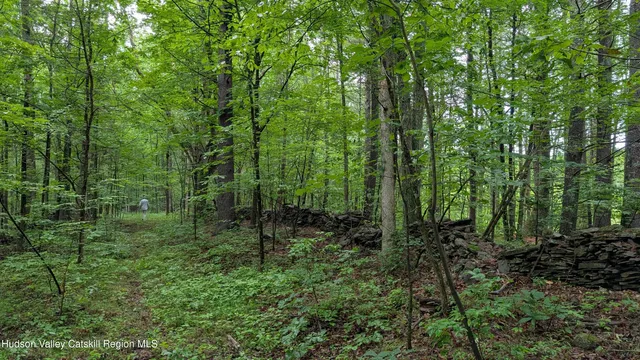 a view of outdoor space and green space