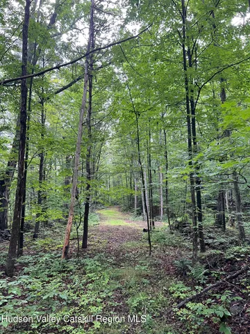 a view of outdoor space and view of trees