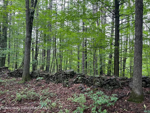 a view of outdoor space and green space
