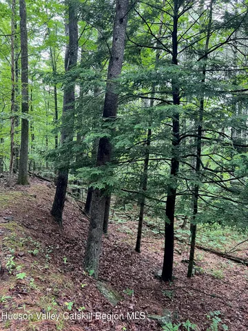 a view of a forest filled with trees and flowers