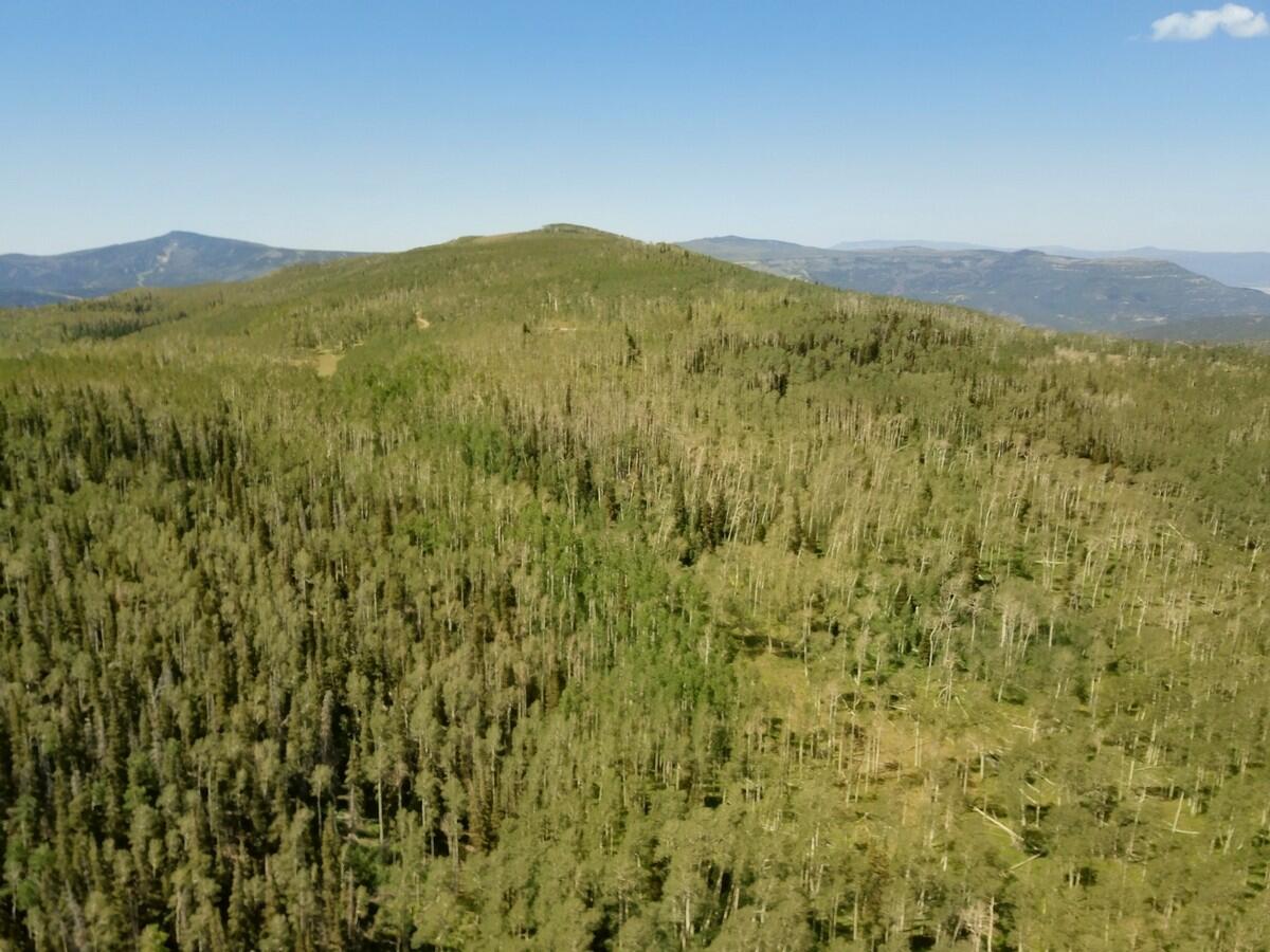 40 Acres Summit Mountain Road Brian Head, UT 84719 - Photo 27 of 32 Aerial5