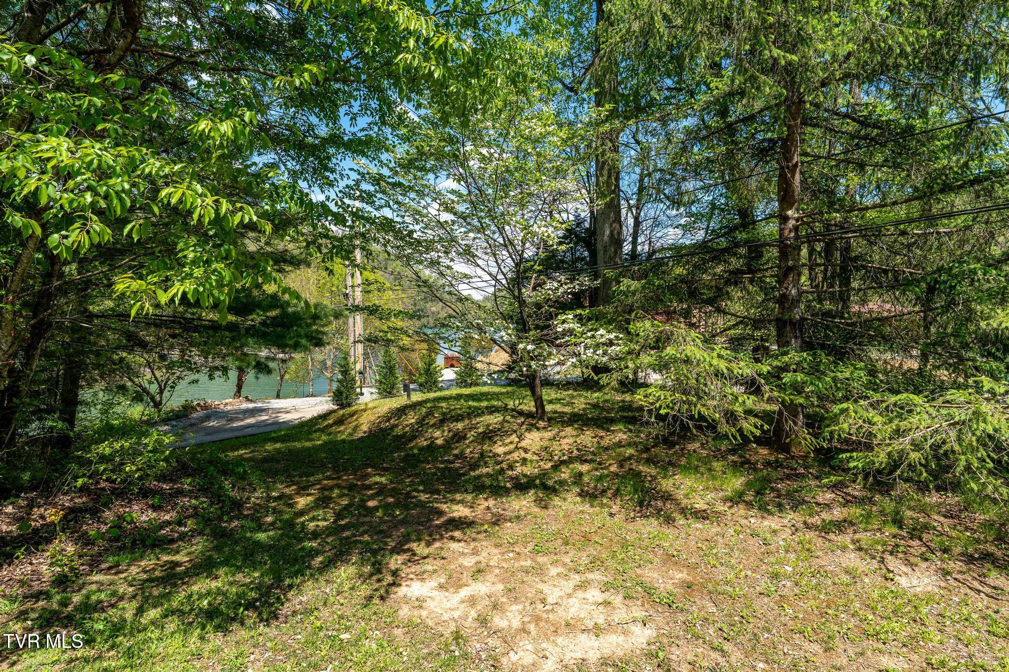 248 Cable Hollow Road Butler, TN 37640 - Photo 24 of 106 248 Cable Hollow Road (51 of 132)