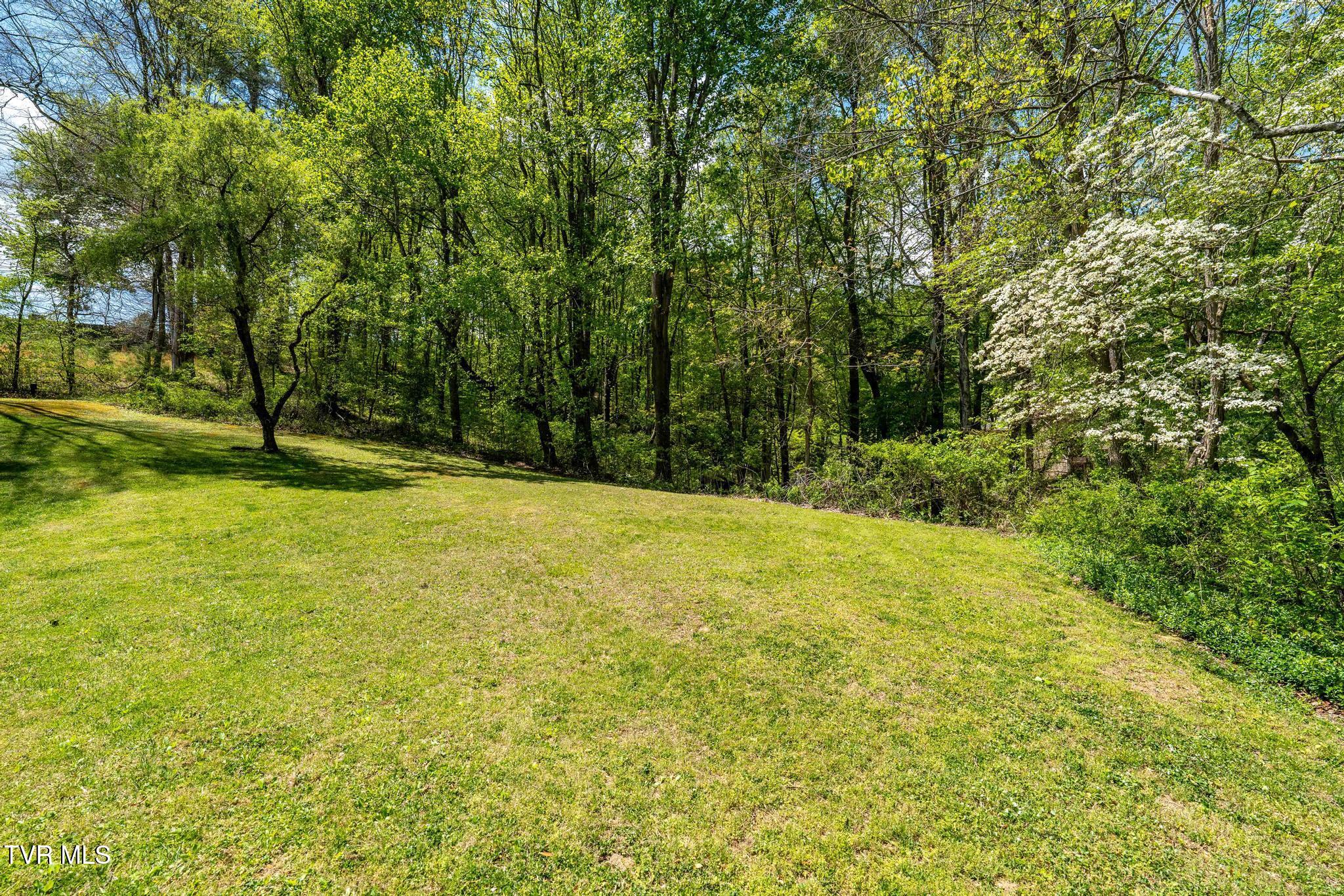 248 Cable Hollow Road Butler, TN 37640 - Photo 29 of 106 248 Cable Hollow Road (56 of 132)