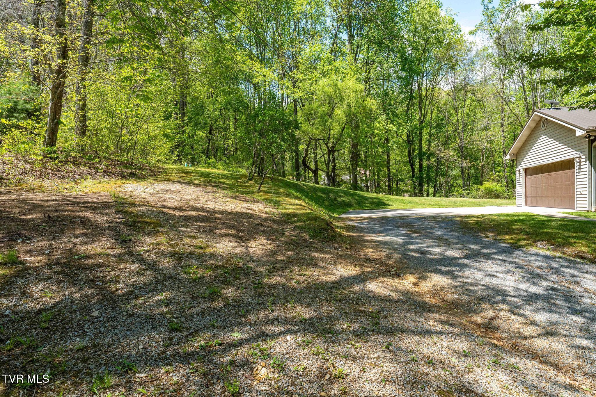 248 Cable Hollow Road Butler, TN 37640 - Photo 9 of 106 248 Cable Hollow Road (34 of 132)