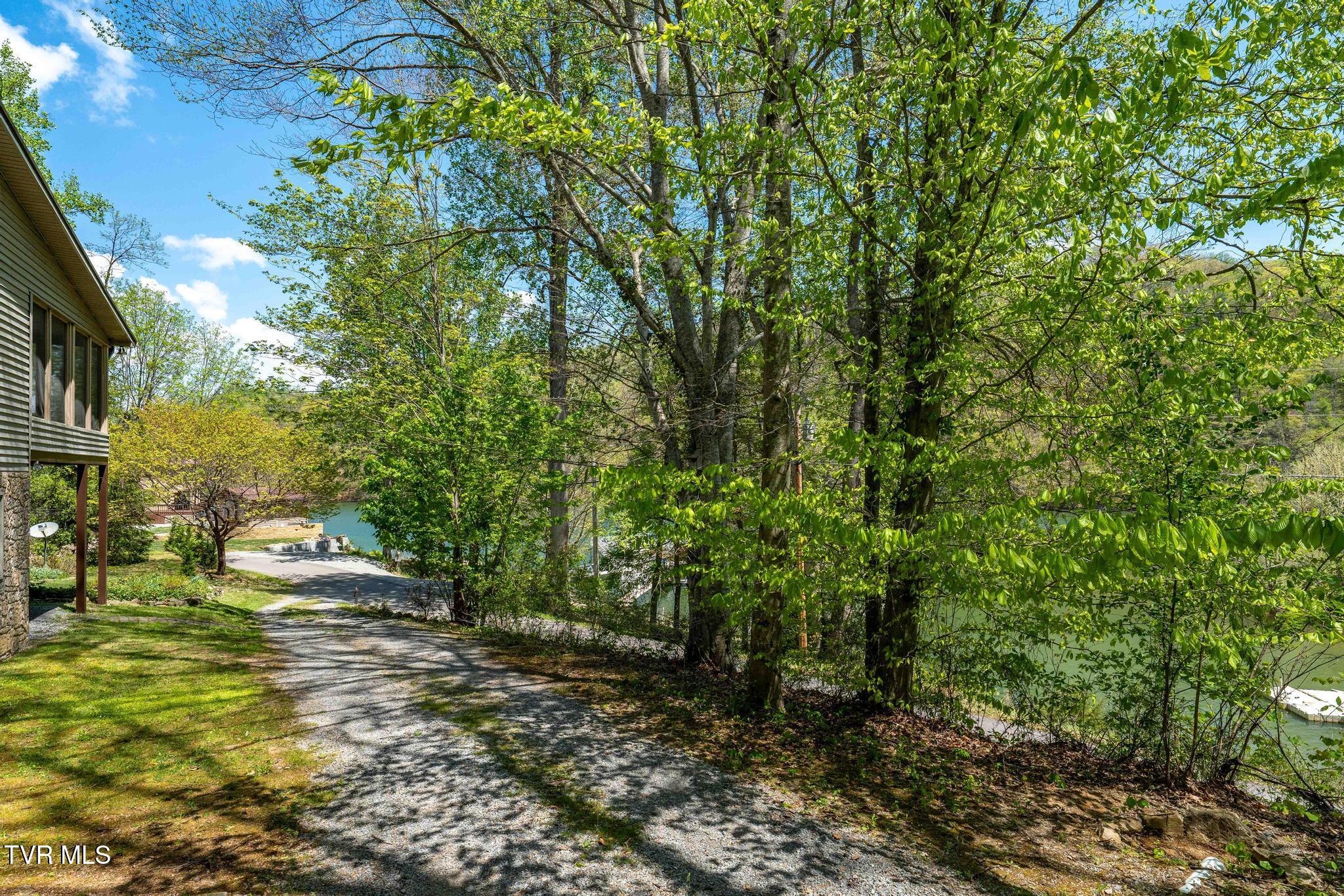 248 Cable Hollow Road Butler, TN 37640 - Photo 10 of 106 248 Cable Hollow Road (35 of 132)