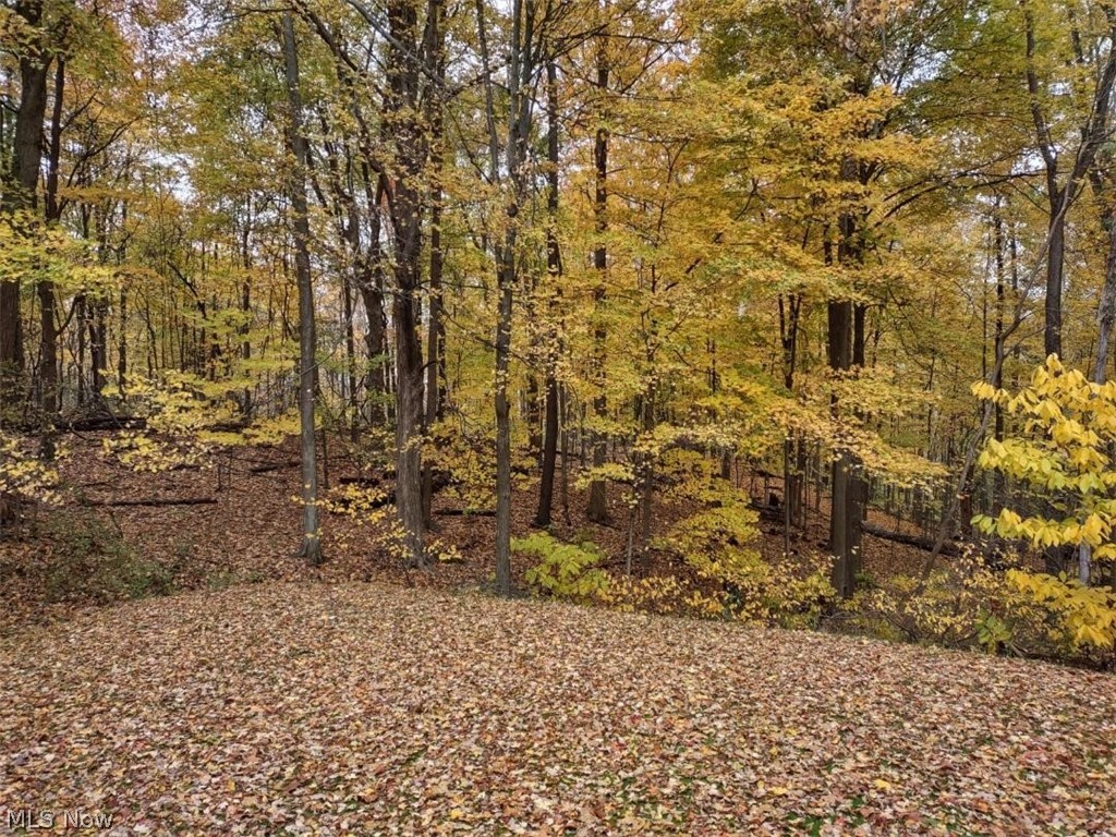 13520 Webster Road Strongsville, OH 44136 - Photo 20 of 20 Gallery Image 20