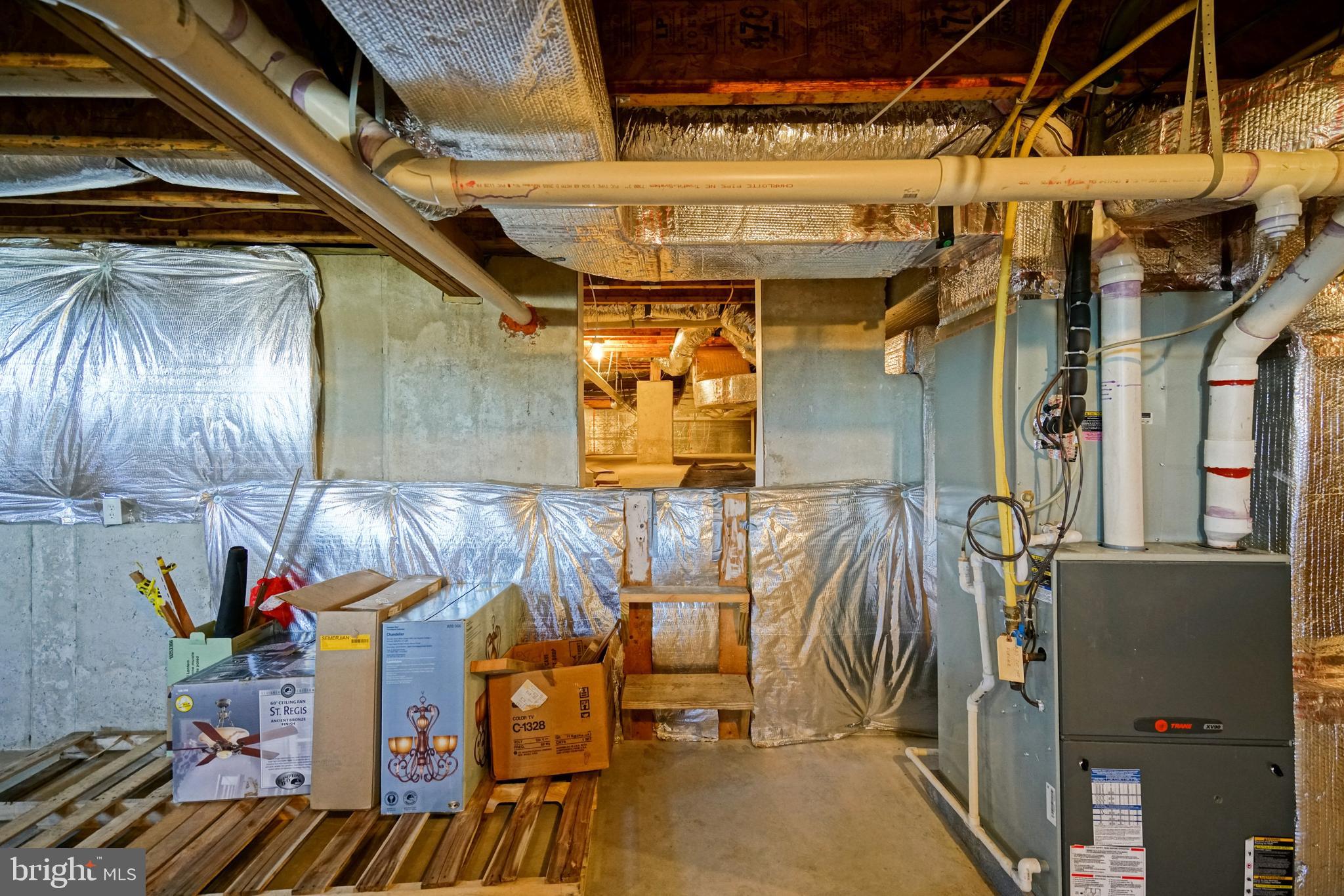 30462 Half Shell Road Milton, DE 19968 - Photo 51 of 52 Ladder to Crawlspace