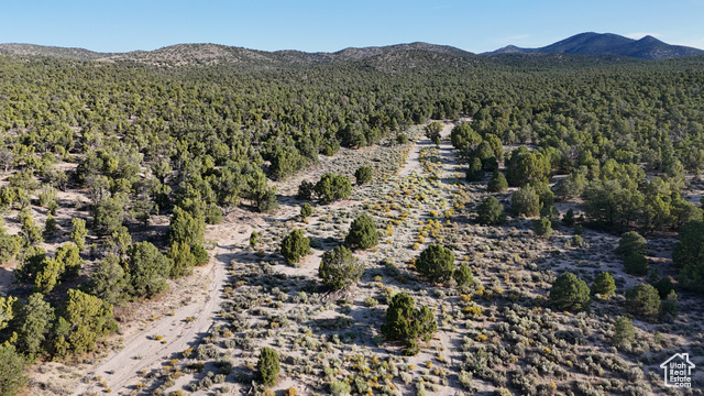 123 Tbd Prout Wash Road North Cedar City, UT 84721 - Photo 21 of 82
