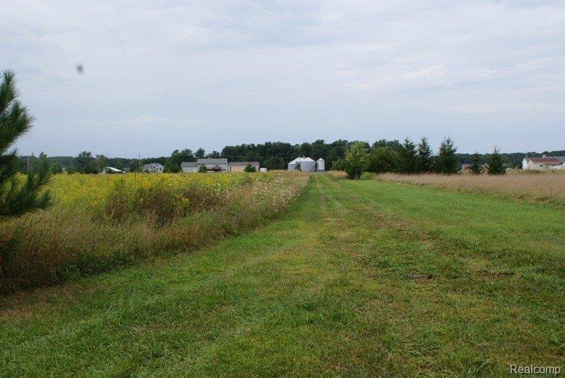 DSC09981.JPG