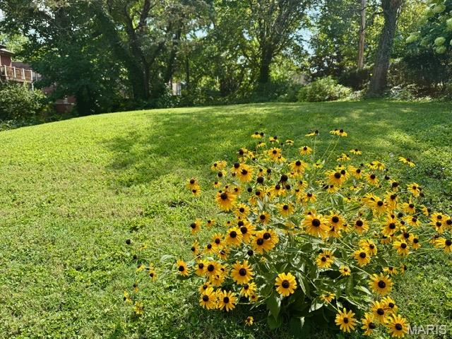 8 Benton Place St. Louis, MO 63104 - Photo 3 of 12