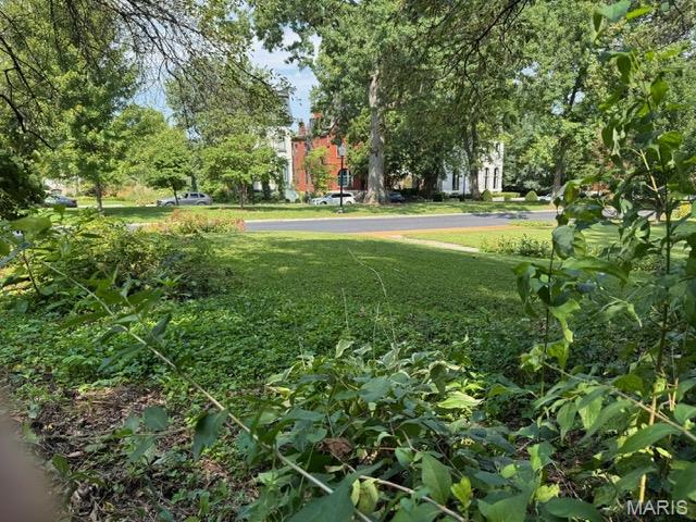 8 Benton Place St. Louis, MO 63104 - Photo 4 of 12