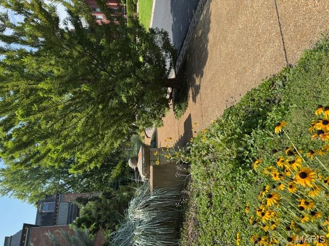 8 Benton Place St. Louis, MO 63104 - Photo 7 of 12