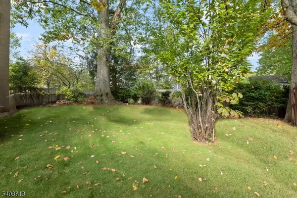 a view of yard with trees