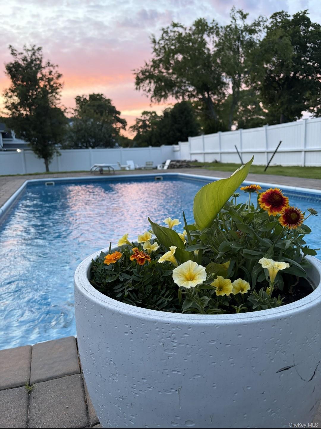 33 Lillian Road Nesconset, NY 11767 - Photo 34 of 42 Saltwater In Ground Pool.