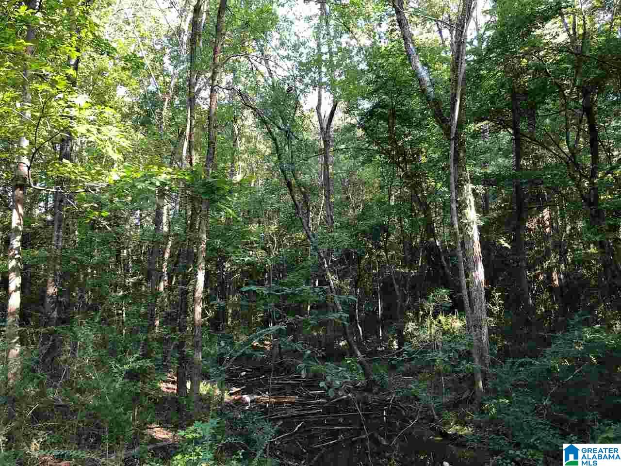 0 Brooks Road Ragland, AL 35131 - Photo 36 of 49