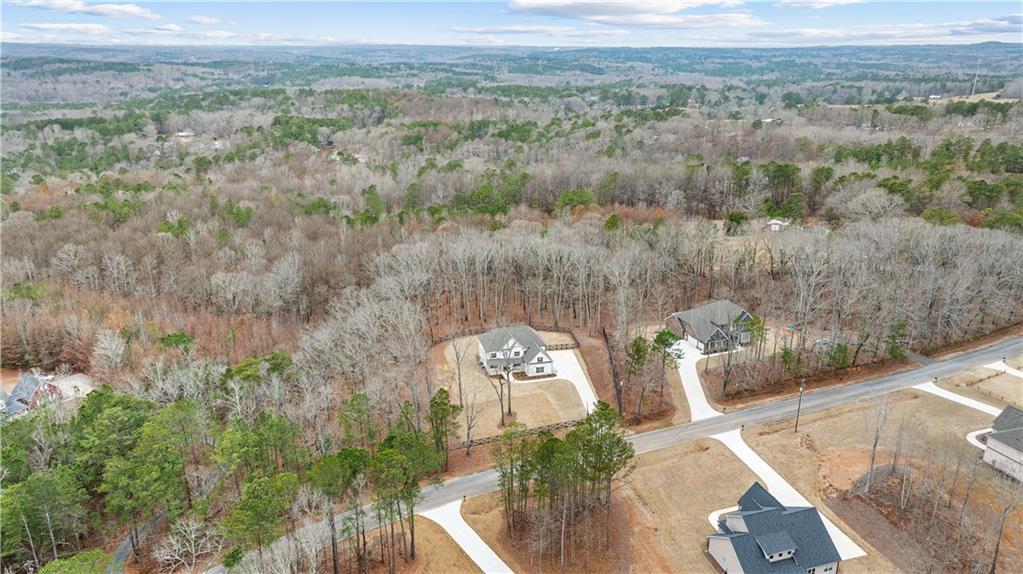 4895 Cool Springs Road Winston, GA 30187 - Photo 84 of 85 an aerial view of a house with a yard