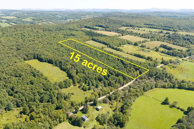 $80,000 | Lot 3 Warren Road, Treadwell, NY 13846