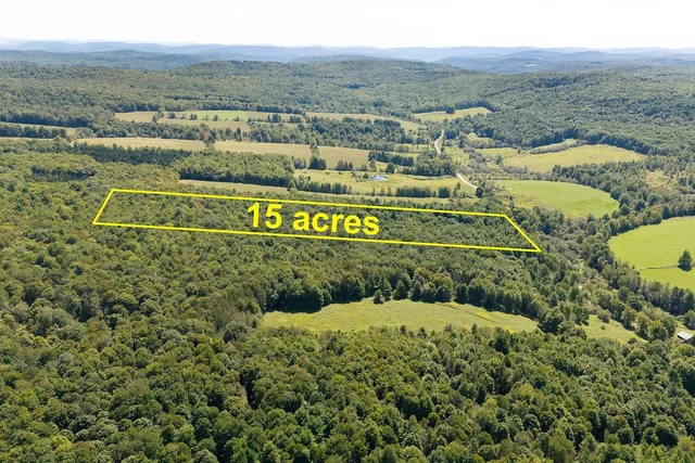 $80,000 | Lot 3 Warren Road, Treadwell, NY 13846