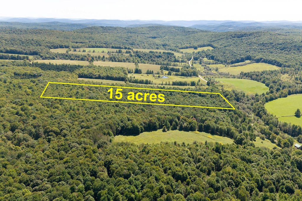 Lot 3 Warren Road Treadwell, NY 13846 - Photo 3 of 7